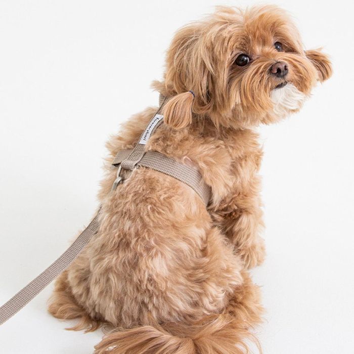 ※予約販売【foreverybari】Classic Pet Harness（Beige） 犬用品 ドッググッズ ハーネス ドッグハーネス 犬ハーネス 犬用ハーネス 韓国 丈夫 軽量 軽い