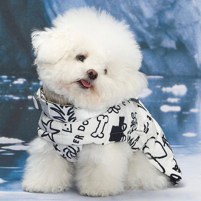 即納【munikund】munikund &times; INAPSQUARE Thermal Up Padding Air 2 - INAP（Ivory） 犬服 ドッグウェア 大型犬服 中型犬服 小型犬服 春服 夏服 秋服 冬服 防寒｜URBAN DOG TOKYO 店