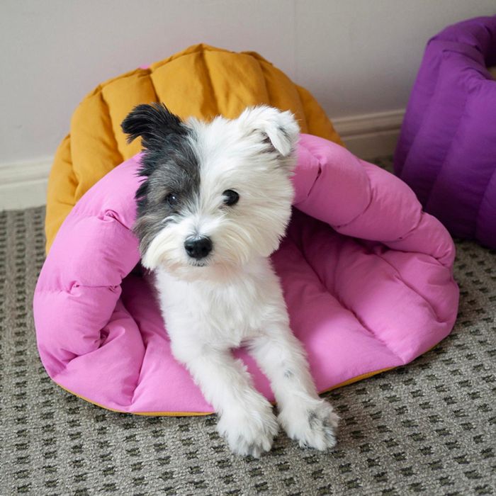 即納【noonoosoom】NOO NOOSOOM &times; azalea Canele Cushion（Pink/Yellow） 韓国 犬用品 ドッググッズ ドッグクッション 犬クッション 犬用クッション 犬ベッド 犬用ベッド ドッグベッド ペットクッション｜URBAN DOG TOKYO 店