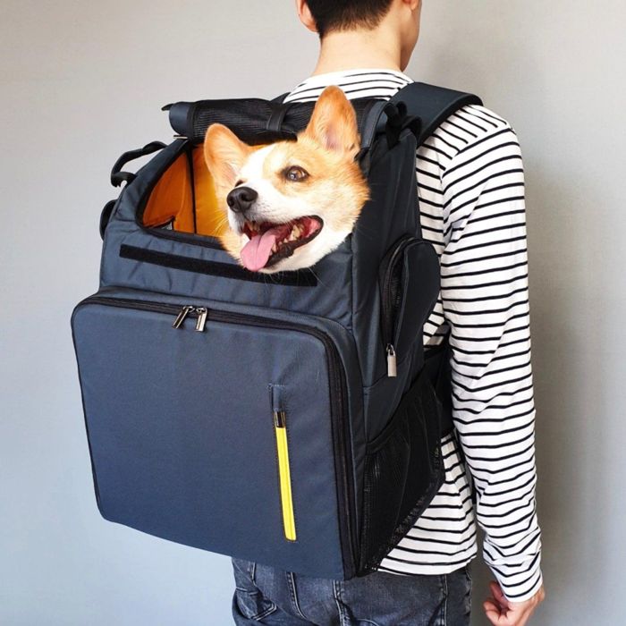 ※予約販売【INSIDE DOG & CAT】Inside L Backpack1(グレー/イエロー) 韓国 ブランド かわいい おしゃれ プレゼント 小型犬 バッグ スリング リュック キャリーバッグ マット トイレ NEW 夏 冬 お出かけ|URBAN DOG TOKYO 店