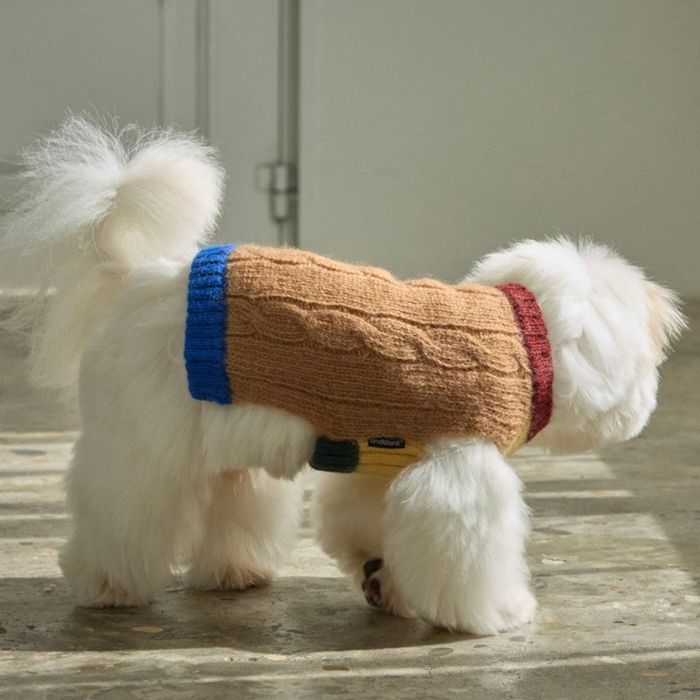 即納【andblank】Bebe Cable Wool 100% Knit（Mocha） 犬服 ドッグウェア 犬の服 衣袂受け答え 犬装置 ドッググッズ 小型犬 小型犬服 秋 冬