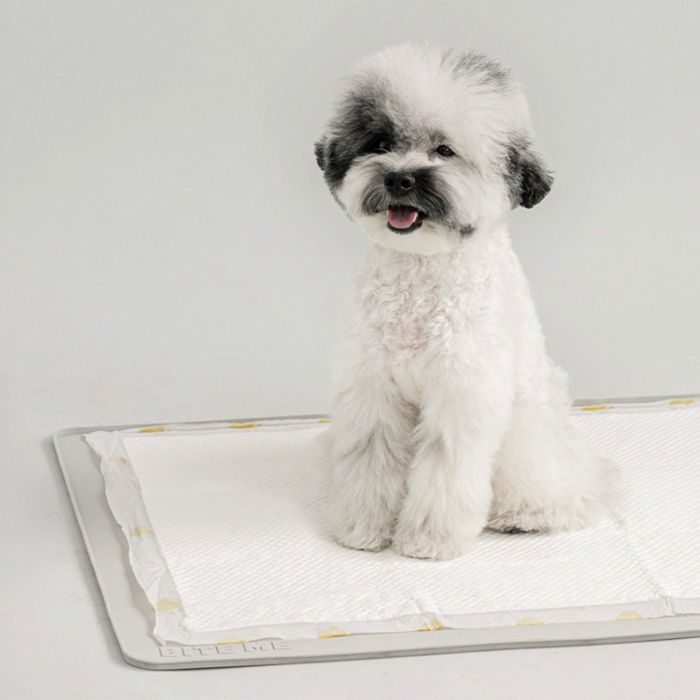 即納【BITE ME】Non-slip Silicone Mat（Gray） 犬 幼児用便器 幼児用便器つや消し 立ち小便 はみ出し押しとどめる 愛玩動物装置 愛玩動物グッズ ドッググッズ 上滑り打ち切り ケイ素樹脂 雨合羽 撥水 世話をする 洗い濯ぎ 飾り気のない 馬鹿でかい大いさ 幼児用便器居敷き お幼児用便器 形づくる 小っちゃい空間的関係 助けになるＦＲＧ製