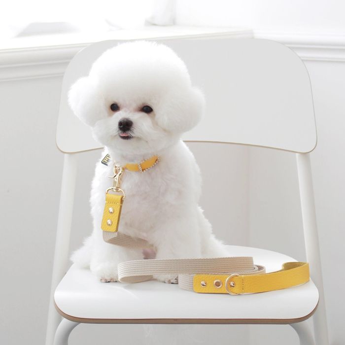 ※予約販売【maison de miu】 Running Mate Leather & Webbing Lead（Yellow / Ivory） 韓国 ブランド かわいい おしゃれ プレゼント 小型犬 リード うちの子グッズ うちの子 タオル 散歩グッズ NEW 犬