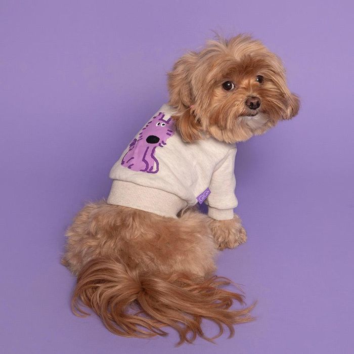 即納【noonoosoom】Noonoo buddy crew neck sweat shirt（Purple Funniple） 韓国 犬装置 ドッググッズ ドッグウェア 犬服 犬の服 小型犬 小型犬服 冬 冬服