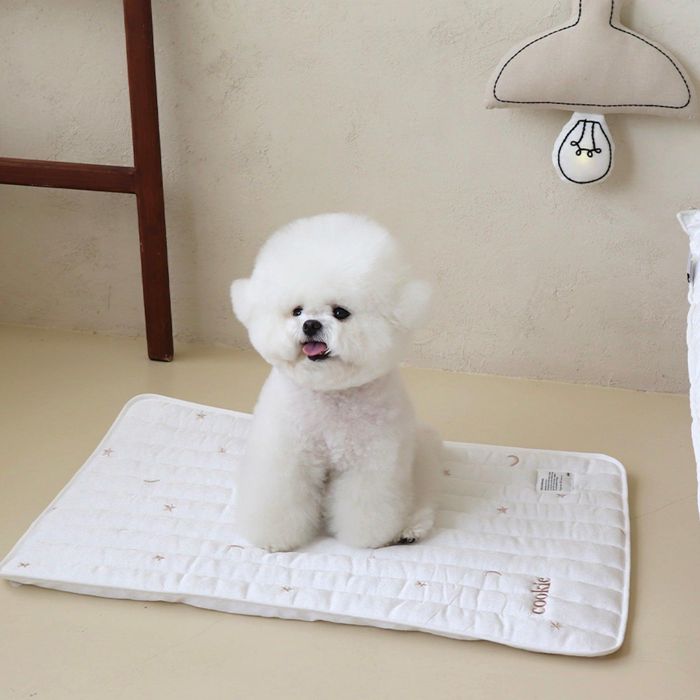 ※予約販売【Chiot】Refresh cool mat（Star and Moon） マット 犬用マット ペット用マット ペットマット うちの子グッズ 韓国 冷感マット ペット用 犬 ひんやりマット 冷たいマット ジェルマット 冷感ジェルマット 犬用 ペットクールマット 名入れ 刺繍入り ドッググッズ