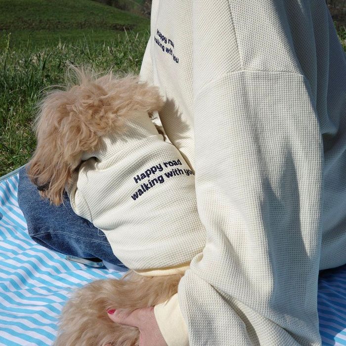 即納【noonoosoom】Half zip up（Butter） 犬服 ドッグウェア 犬の服 小型犬 小型犬服 犬装置 ドッググッズ 韓国 春 春服