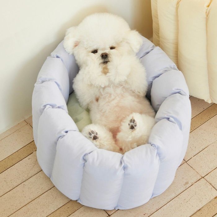 即納【azalea】Apple Sherbet Canele Cushion（Blue / Green） 犬装置  ドッググッズ  ドッグクッション  犬用座布団  愛玩動物座布団  犬寝台  犬用寝台  ドッグベッド  愛玩動物住み家  ドッグハウス