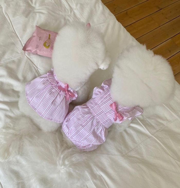 ※取っておく売りわたす【Hi Yeboo】Melrose Collection Pink(クロップ/ロンパース) 犬服  ドッグウェア  犬の服  小型犬  小型犬服  春  夏  春服  夏服  通気性