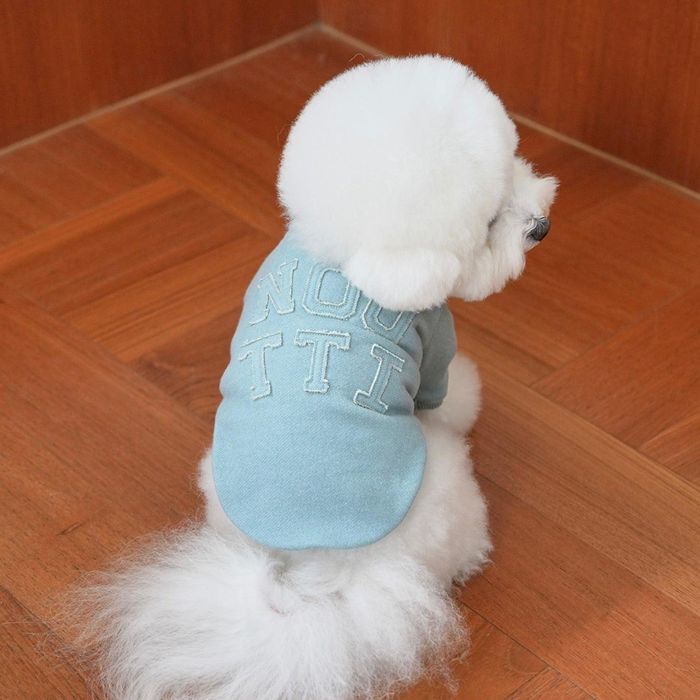 即納【noutti】Groovy Sweat Shirt（Sky Blue） 犬服 ドッグウェア 犬の服 小型犬 小型犬服 犬備品 ドッググッズ 韓国 春 春服