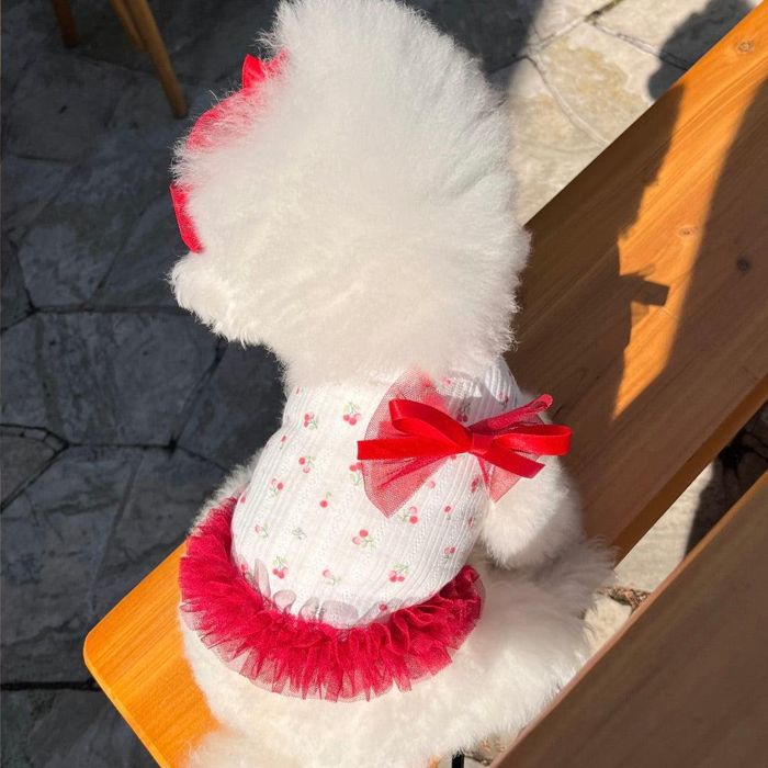 ※取って置く売りわたす【Hi Yeboo】Cherry Tutu Crop 韓国 犬装置 ドッググッズ ティーシャツ 衣袂受け答え ドッグウェア 犬服 犬の服 小型犬 小型犬服