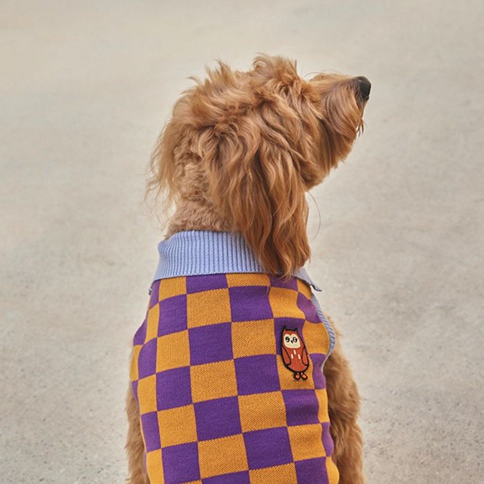 即納【andblank】Mystery Owl  Checkered knit 韓国 ブランド名 愛くるしげ 今めかしい 差し上げ物 小型犬 NEW 中型犬 春 秋 冬 お出かけ 大型犬 犬
