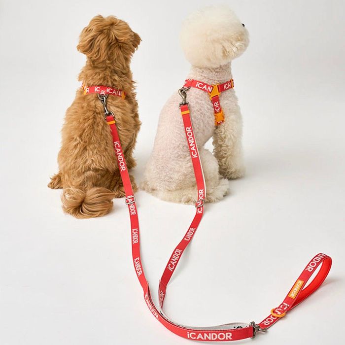 ※予約販売【iCANDOR】GENTLE LEASH DUAL（SIGNATURE） 犬用品 ドッググッズ 犬のリード 犬用リード 散歩リード 散歩用品 韓国 引き綱 りーど 犬リード