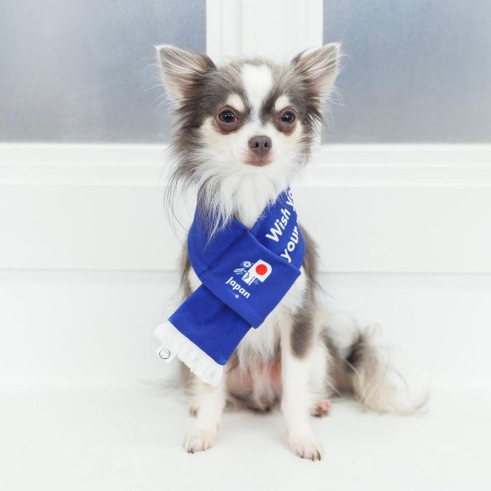 楽天市場】日本 ネイビー 犬服サッカーユニフォーム背番号＆名入れ