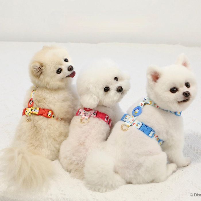 ※予約販売【ITS DOG】Disney Comfort H-type Harness 犬用品 ドッググッズ ハーネス ドッグハーネス 犬ハーネス 犬用ハーネス リード 犬用リード 犬リード 散歩リード