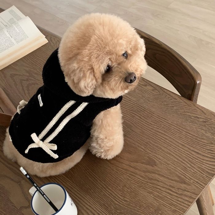 即納【DURANG RURANG】Ribbon Boa Hoodie Jumper（Black） 犬服 ドッグウェア 犬の服 スリーブレス 犬用品 ドッググッズ 韓国 小型犬 小型犬服 春｜URBAN DOG TOKYO 店