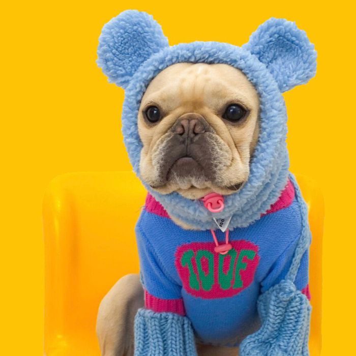 即納【TOOF】PUPPY TEDDY BEAR NECKWARMER（Blue 犬用品 ドッググッズ 防寒 冬 韓国 アメリカ ドッグウェア 犬服 犬の服 小型犬