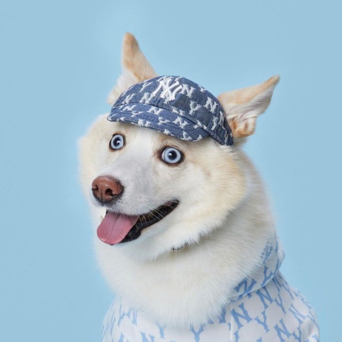 即納【MLB KOREA】MLB monogram cap（Navy） 韓国 ブランド名 愛くるしげ 今めかしい 差し上げ物 小型犬 お一揃え リンクコーデ NEW 犬 犬装置  ドッググッズ  ドッグウェア  犬服  犬の服  小型犬  小型犬服  韓国  リンクコーデ  お一揃え