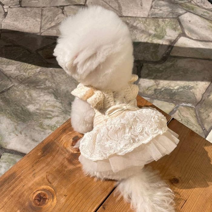 ※予約販売【Hi Yeboo】Ami Ballet Tutu（Ivory） 韓国 犬用品 ドッググッズ ドッグウェア 犬服 犬の服 小型犬 小型犬服 春 春服