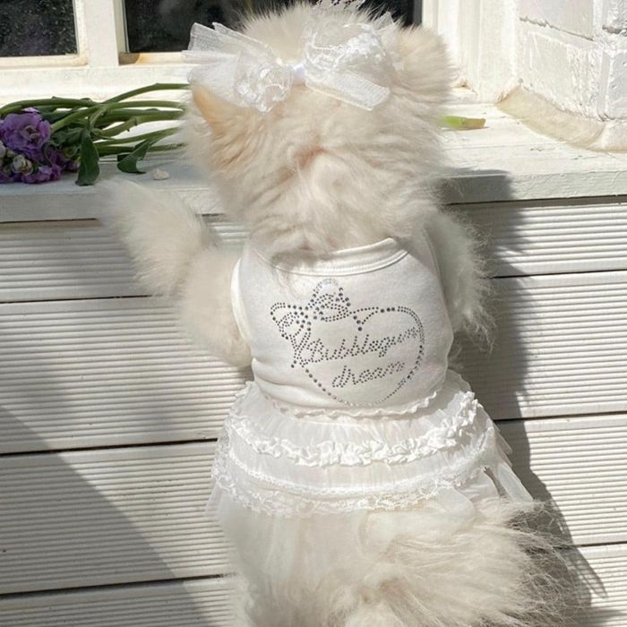 ※取っておく売りわたす【Hi Yeboo】Bubblegum Dream Tutu（White） 犬服  ドッグウェア  犬の服  小型犬  小型犬服  犬装置  ドッググッズ  韓国  春  夏