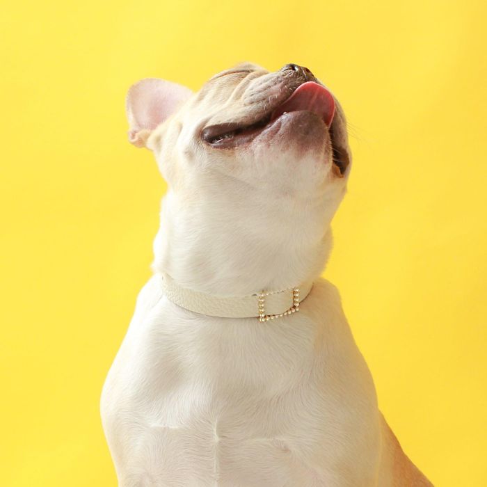 ※予約販売【maison de miu】Square Pearl Collar（White） 韓国 ブランド かわいい おしゃれ プレゼント 小型犬 首輪 タオル NEW