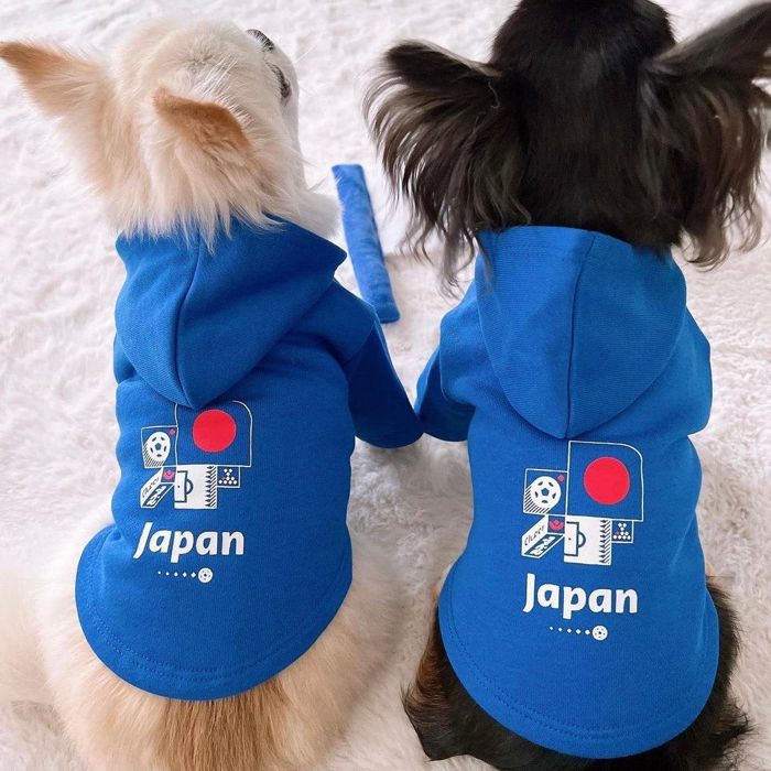 【楽天市場】即納【FIFA WORLD CUP QATAR 2022_】FIFA dog parker（Blue）犬用 パーカー 犬服 ドッグ