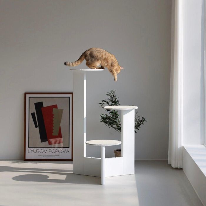 ※取っておく売りわたす【andantte】Cat Tower 301 犬装置 ドッググッズ 猫装置 猫グッズ 韓国 キャットタワー スチール写真お皿 粉体ペンキ塗り 購入注文お手伝いさん 目論む性