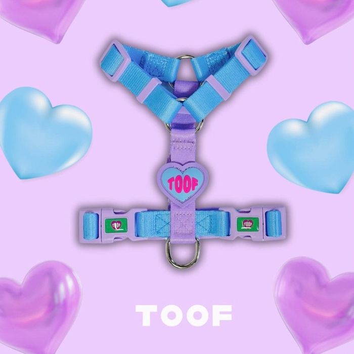 即納【TOOF】HEART LOGO BUCKEL HARNESS（BLUE/PURPLE） 犬用品 ドッググッズ ハーネス ドッグハーネス 犬ハーネス 犬用ハーネス リード 犬のリード 犬用リード 散歩リード
