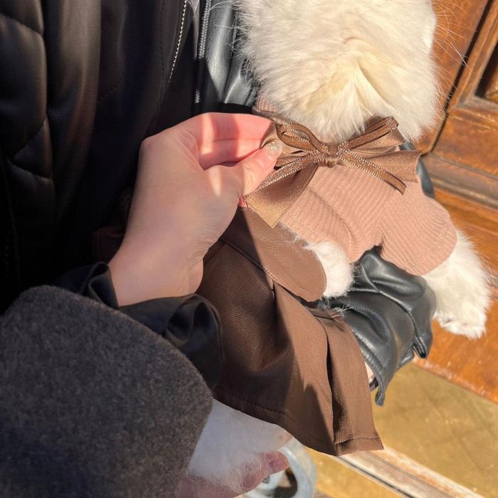 ※取って置く売りわたす【Hi Yeboo】Seine Leather Skirt（Brown） 韓国  犬装置  ドッググッズ  ドッグウェア  犬服  犬の服  小型犬  小型犬服  春  秋