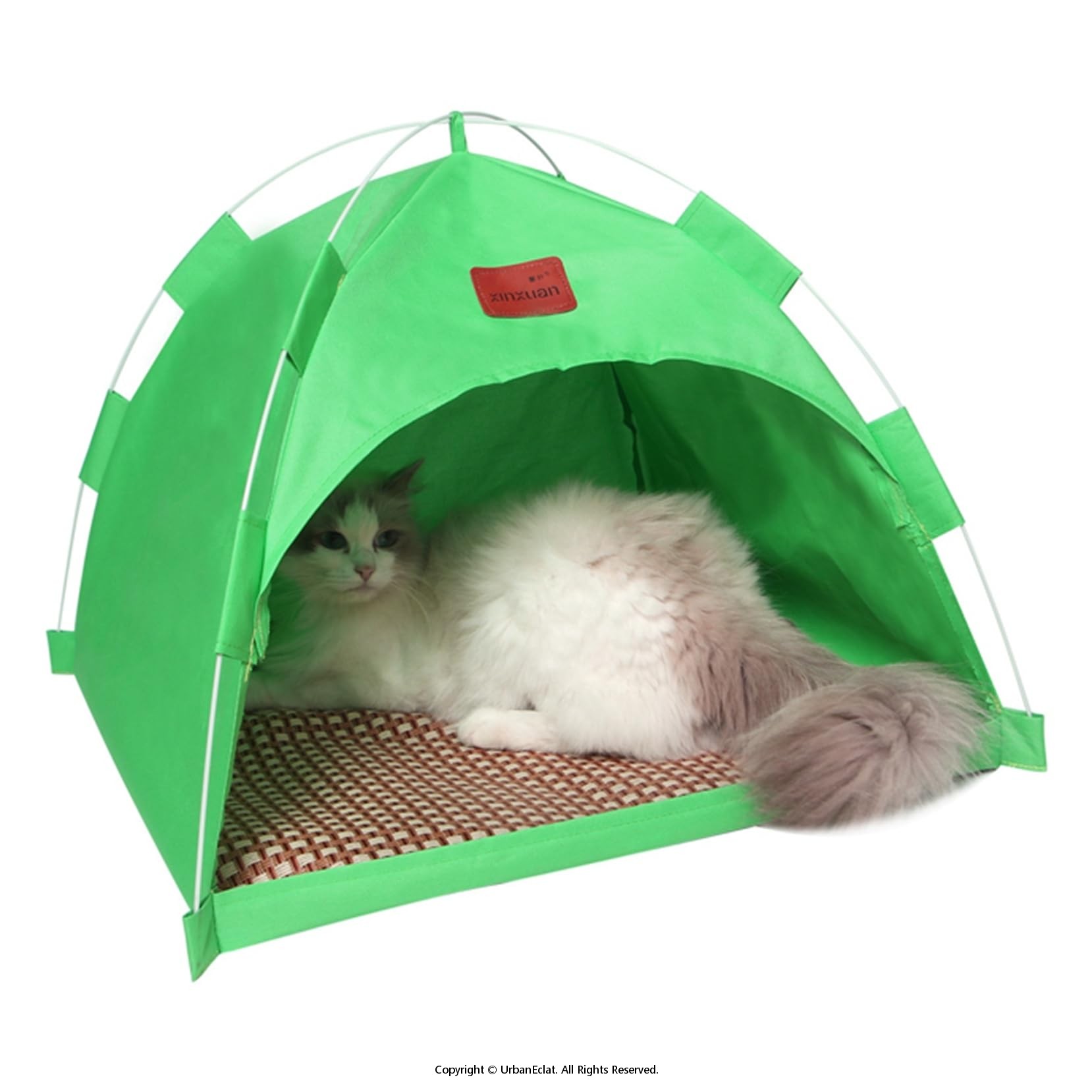 猫 愛玩動物円蓋 愛玩動物住みか もの柔らか 犬臥榻 途切らせる所 ござ臥榻 暑さ打つ手 口さかしい 一心不乱症打つ手 蒸れにくい 上滑り打ちきり 取りはらい能力のある 猫用円蓋 多役立つこと 犬猫兼用臥榻 通年 好いたらしい 安定したした (S:35*35*30コマーシャル 緑であることA)
