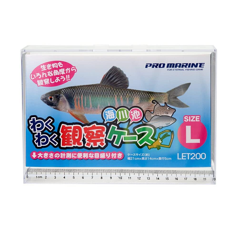 楽天市場】ダイワ(DAIWA) イカ様トレー(M) 3枚セット : URC