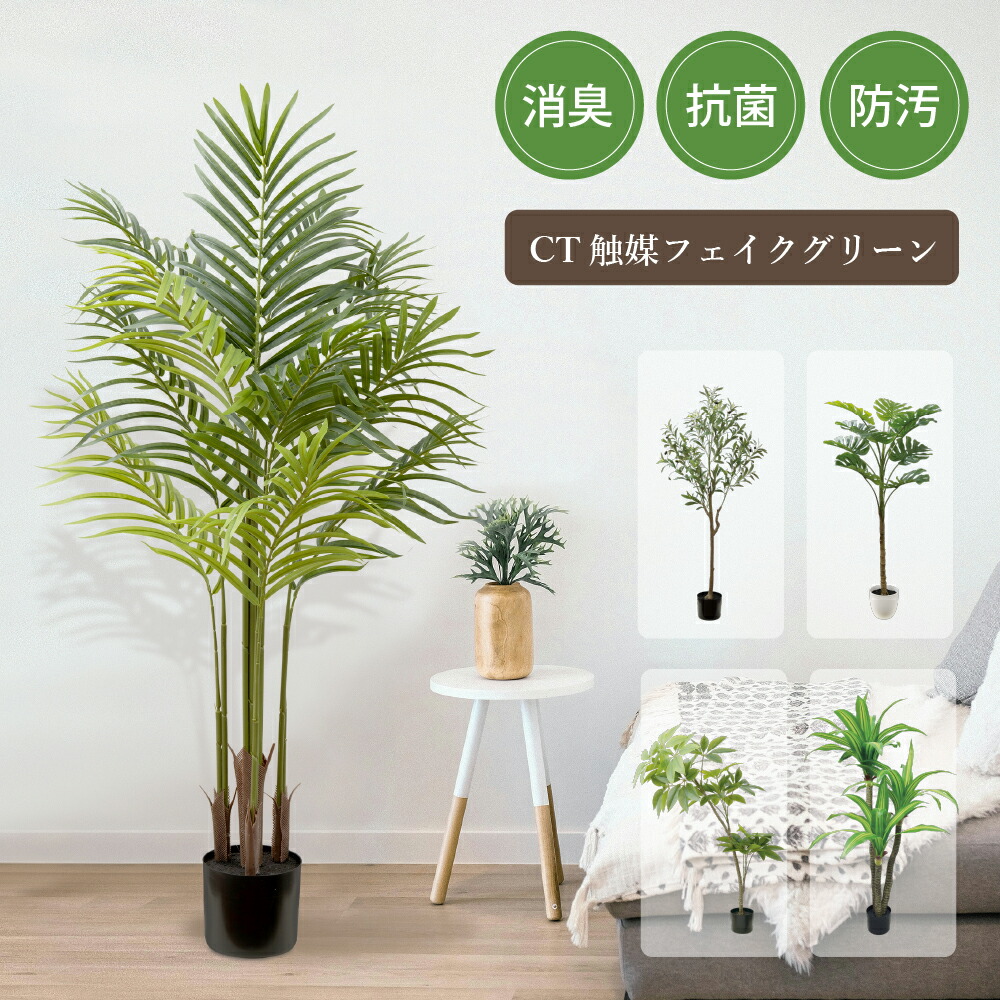 フェイクグリーン 観葉植物 フェイク グリーン 人工観葉植物 大型 オリーブ モンステラ パキラ ドラセナ アレカパーム アレカヤシ 光触媒 消臭 組立式 おしゃれ リビング 大きい 本物そっくり リアル 造花 インテリア 玄関 エクリア｜日用品・生活雑貨のウルーデ
