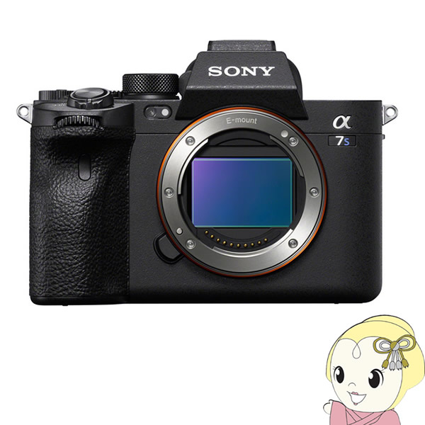 ソニー 銀鏡受け答え 一眼二眼レフ 写真機 α7S III ILCE-7SM3 上半身【/srm】【KK9N0D18P】