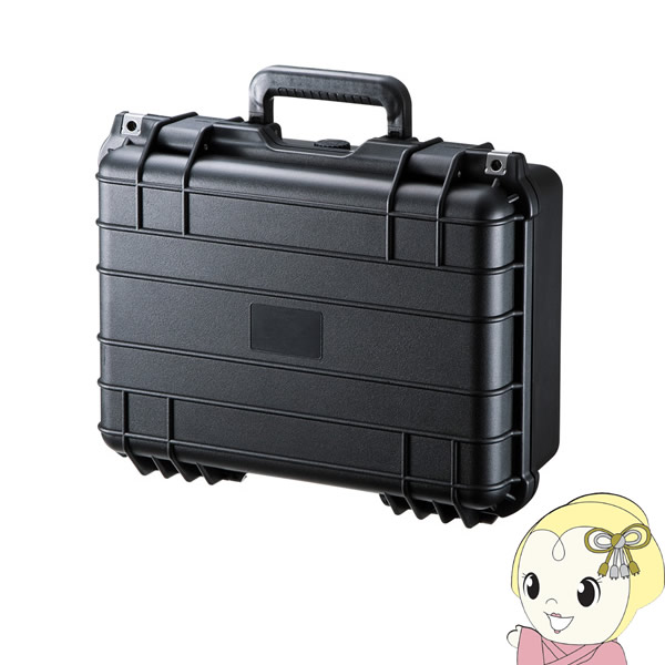 BAG-固定ディスク4 サンワサプライ ハードツールケース【/srm】 その他-パソコン・周辺機器-PCサプライ・消耗品