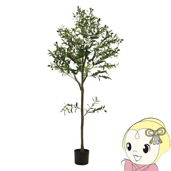 【4/18限定 ダイヤモンド会員ならエントリーで当店全品最大P8倍】観葉植物 フェイクグリーン オリーブ おしゃれ 150cm ジョイント【/srm】