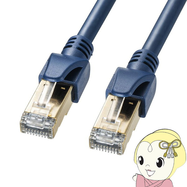 ローカルエリアネットワーク有線テレビ サンワサプライ 10m 科目6A 10ギガビット相応う SFTP 製作用 ネイビーブルー【/srm】