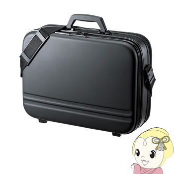BAG-716BK2 サンワサプライ セミハードＰＣケース（17.3型ワイド・ダブルタイプ）【/srm】｜ウルトラぎおん店 12,168円