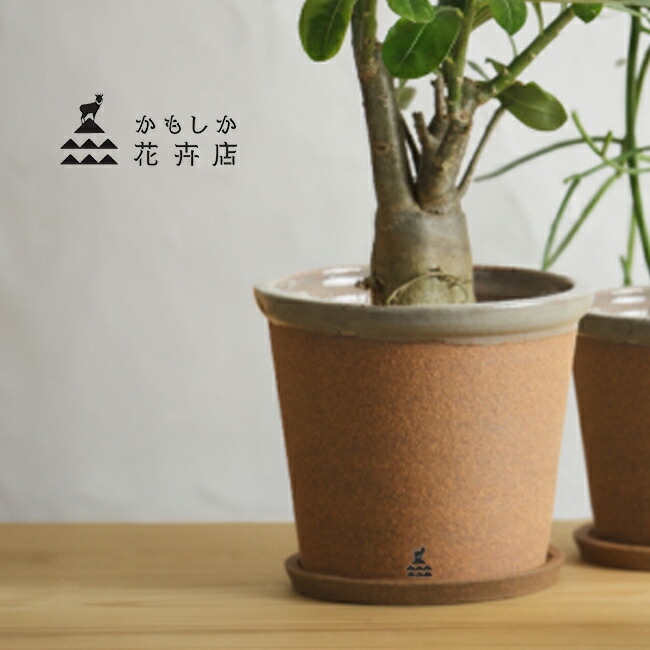 陶器鉢…カエデ imgrc0089967710.jpg