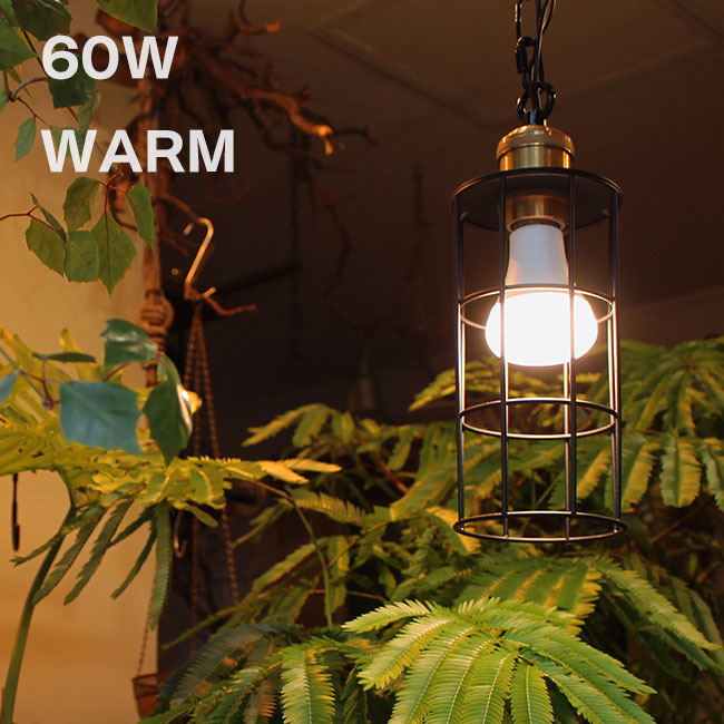 ＼特典あり／PLANTS LIGHT プランツライト 60 WARM 003380 [植物育成ライト LEDライト 植物 電球 室内 家 お店 観葉植物 水耕栽培 明るさ 電球色 リビング ダイニング ガーデニング インテリア 照明 取り付け 60W相当 交換 太陽光] 即納