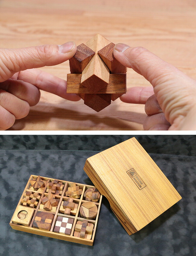 安い購入 ロックスモーション ウッドパズル 12個セット 木製 立体パズル 大人 子供 高齢者 知育 おもちゃ 脳トレ 立体 パズル 脳 トレ 木のおもちゃ 脳トレパズル Uruza ウルザ W 早割クーポン E Compostela Gob Mx