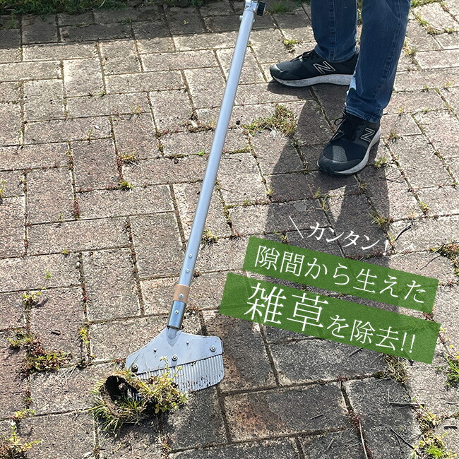 楽天市場】雑草ブラシ オバケ 雑草 隙間 雑草抜き 立ったまま