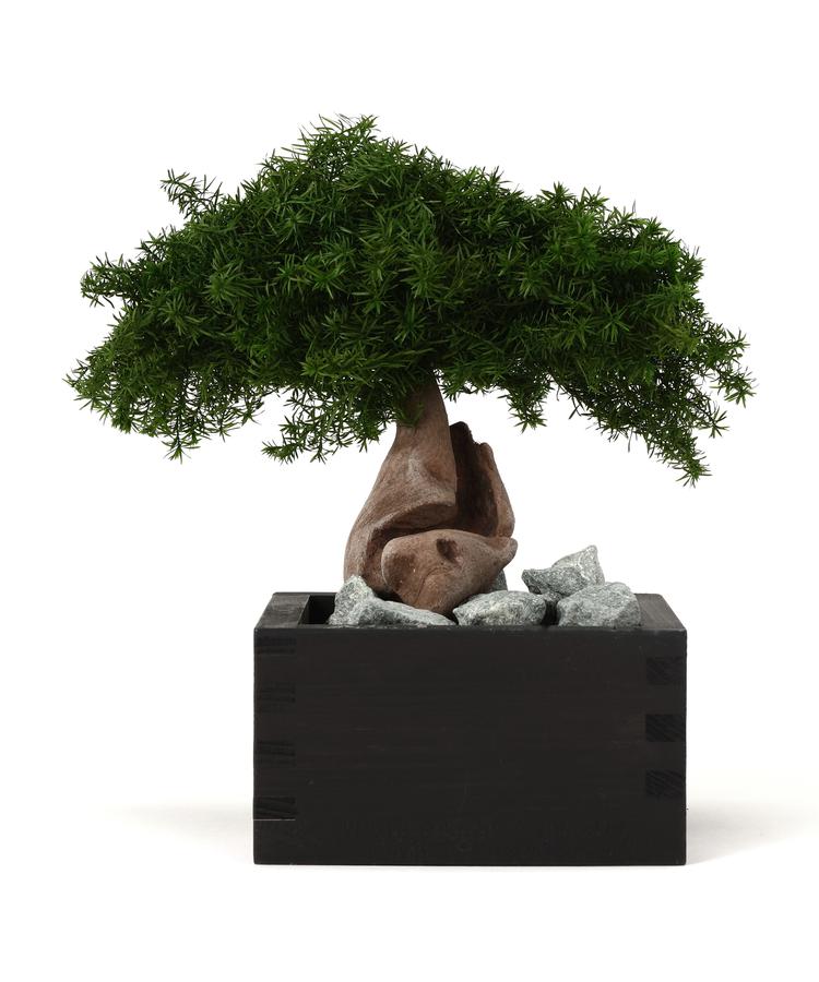 【LHP】JAKOU/寂香/BONSAI Diffuser|US ONLINE 店