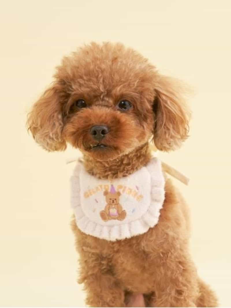 ✨gelato pique ジェラートピケラスト一点！CAT&DOG柄3点セット gelato