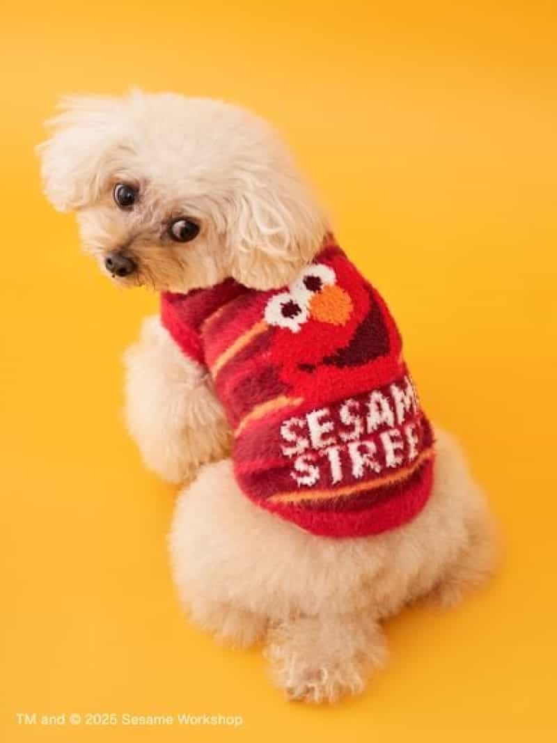 【DOG】ジャガードニットプルオーバー SESAME STREET MARKET セサミストリートマーケット ペット用品 ペットウェア・ペット服 レッド【送料無料】[ Fashion]
