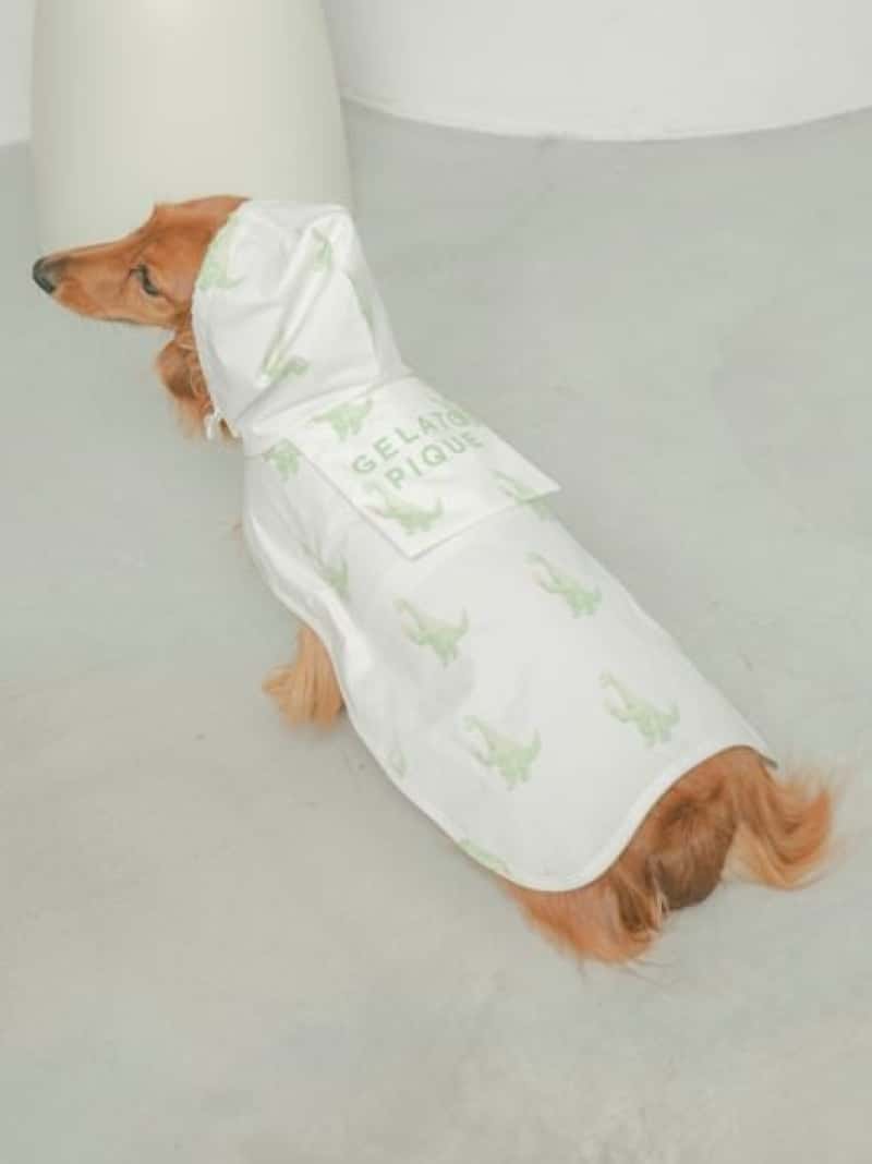 【CAT&DOG】ダックスフンドサイズレインポンチョ GELATO PIQUE CAT&DOG ジェラートピケ ペット用品 ペットウェア・ペット服【送料無料】[ Fashion]