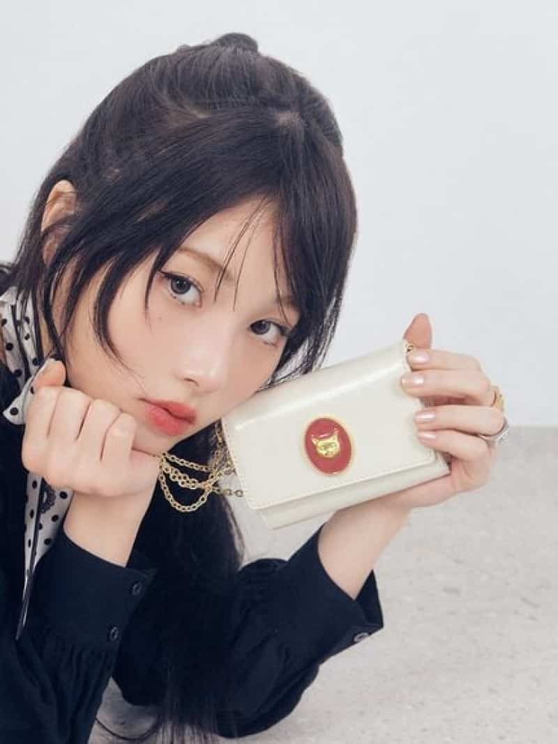 CATモチーフウォレットショルダー LILY BROWN リリーブラウン ファッション雑貨 その他のファッション雑貨 ブラック ホワイト ブラウン【送料無料】[ Fashion]