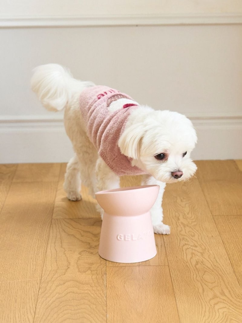 【CAT&DOG】ハイスタンドフードボウル GELATO PIQUE CAT&DOG ジェラートピケ ペット用品 その他のペット用品【送料無料】[ Fashion]