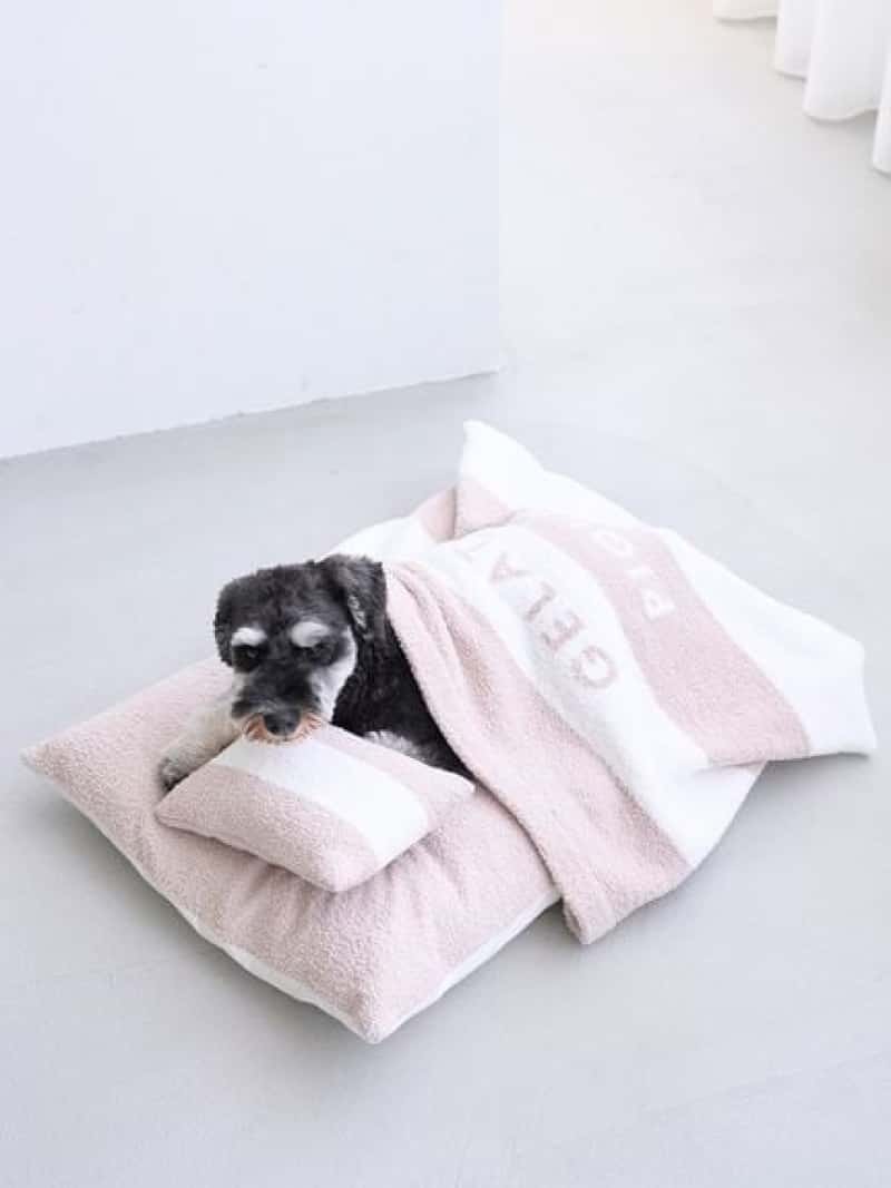 【CAT\u0026DOG】ベビモコおふとん書き割りL GELATO PIQUE CAT\u0026DOG ジェラートピケ 愛玩動物装置 愛玩動物用臥榻・つや消し・座蒲団【貨物輸送無料】[ Fashion]