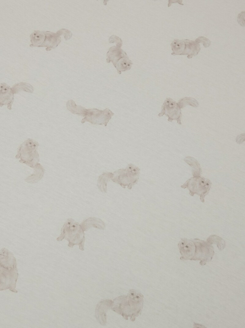 ダブル Cat柄boxシーツ Gelato 生活雑貨 ジェラートピケ Pique Sleep
