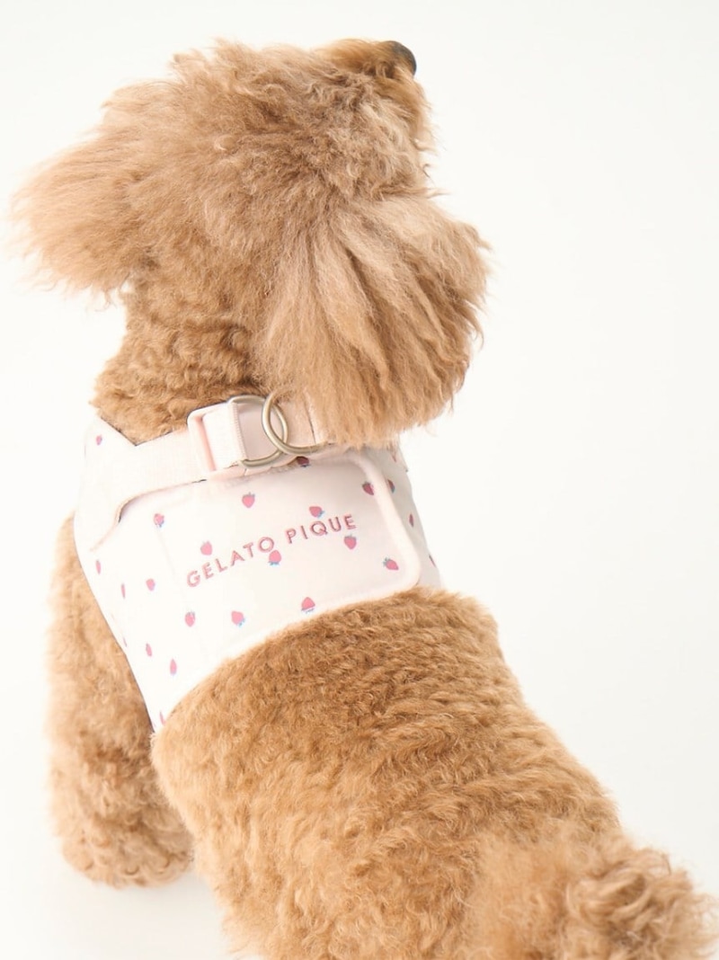 CAT&DOG】モチーフ柄ハーネス GELATO PIQUE CAT&DOG ジェラート