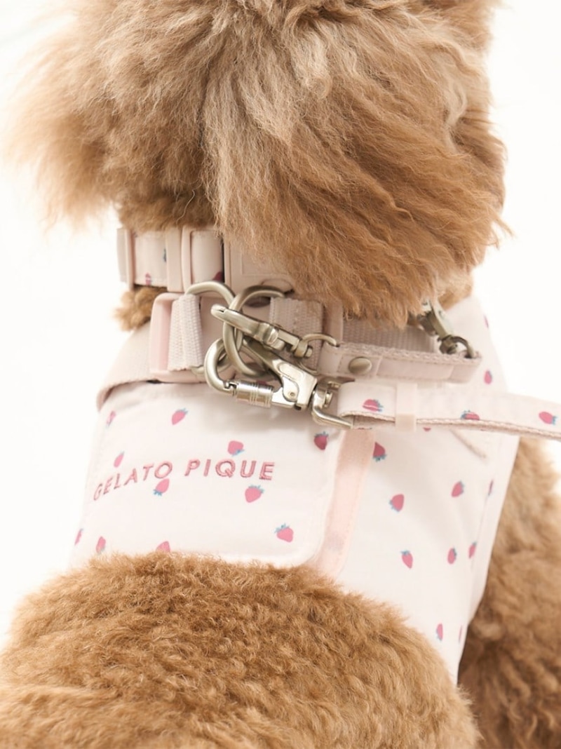 【なこ】ジェラートピケ　ペット　ハーネス　リード　首輪　アイス柄　Sサイズ CAT&DOG】【販路限定商品】ハーネス（首輪・リード）｜GELATO